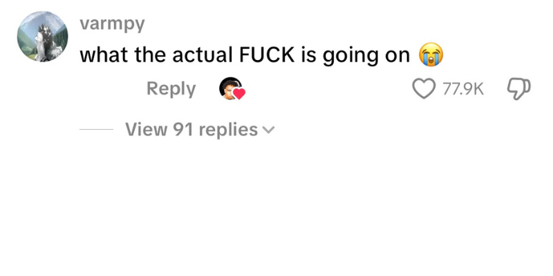 Negative TikTok comment 1