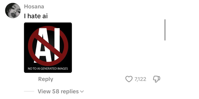 Negative TikTok comment 2