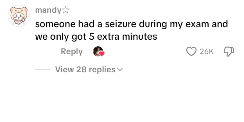 Negative TikTok comment 3