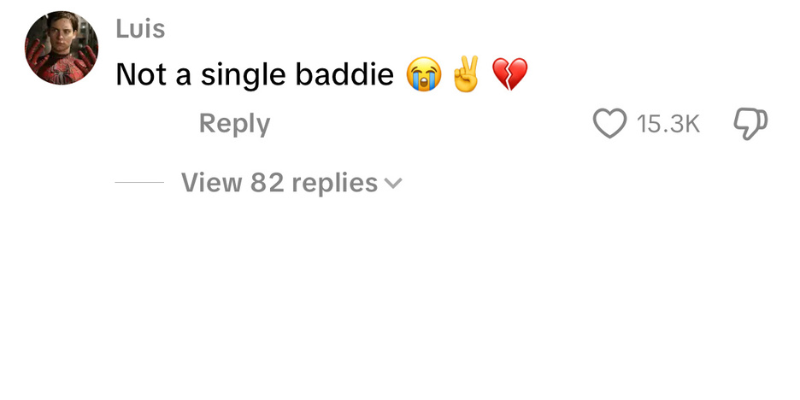 Negative TikTok comment 5
