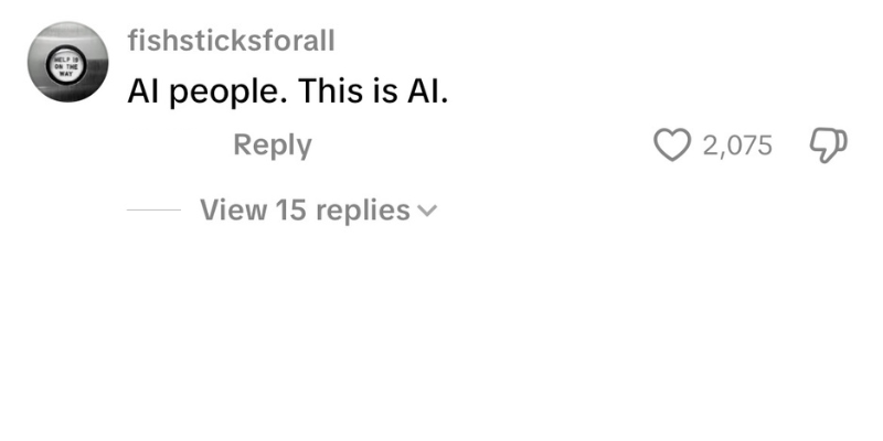 Negative TikTok comment 6
